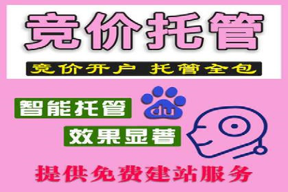 金融行业SEM推广案例：提升品牌知名度